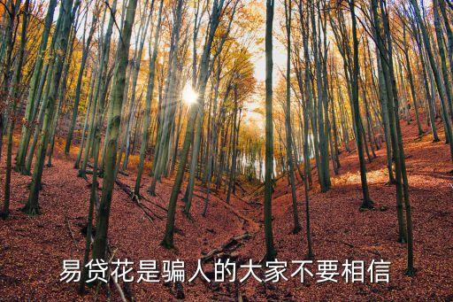易貸花是騙人的大家不要相信