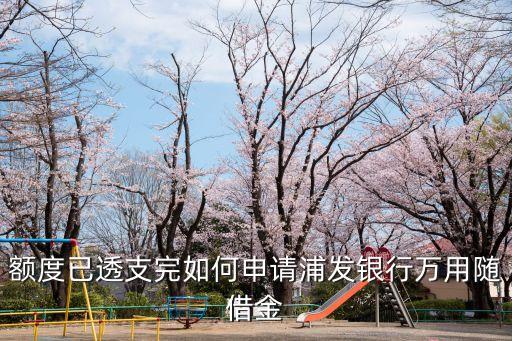 額度已透支完如何申請(qǐng)浦發(fā)銀行萬用隨借金