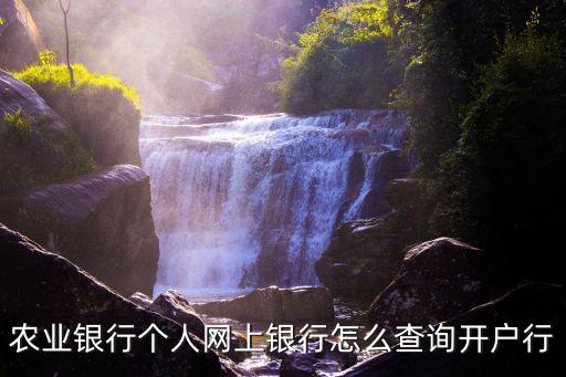 農(nóng)業(yè)銀行個(gè)人網(wǎng)上銀行怎么查詢開戶行