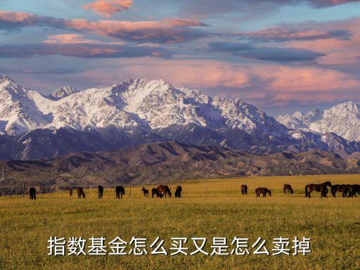 指數(shù)基金怎么買又是怎么賣掉