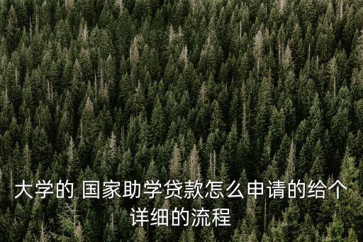 大學(xué)的 國家助學(xué)貸款怎么申請的給個詳細的流程