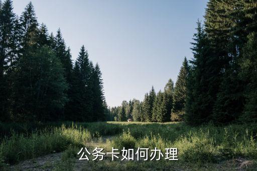 公務(wù)卡 怎么辦理，公務(wù)卡如何辦理