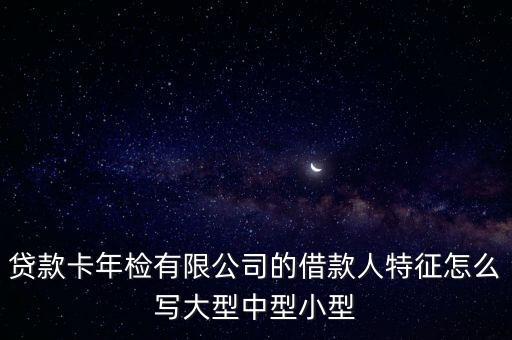 貸款卡年檢有限公司的借款人特征怎么寫大型中型小型