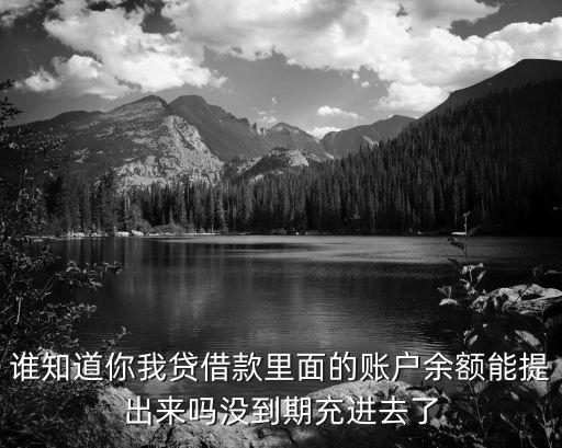 誰(shuí)知道你我貸借款里面的賬戶余額能提出來(lái)嗎沒(méi)到期充進(jìn)去了