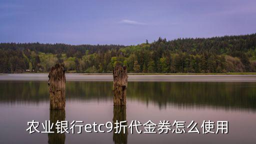 農(nóng)業(yè)銀行etc9折代金券怎么使用