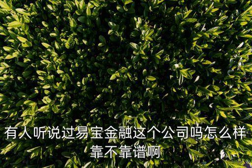 有人聽說過易寶金融這個公司嗎怎么樣靠不靠譜啊