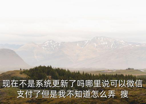 現(xiàn)在不是系統(tǒng)更新了嗎哪里說可以微信支付了但是我不知道怎么弄  搜