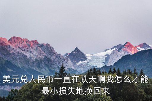 美元兌人民幣一直在跌天啊我怎么才能最小損失地?fù)Q回來