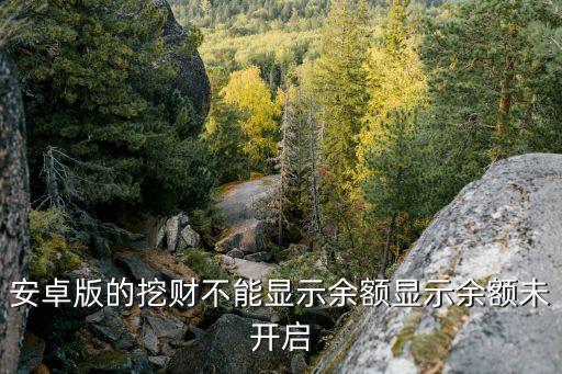 安卓版的挖財不能顯示余額顯示余額未開啟