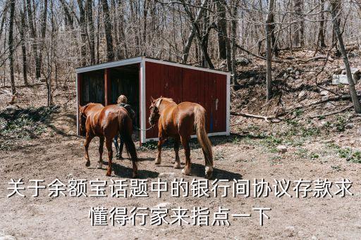 關(guān)于余額寶話題中的銀行間協(xié)議存款求懂得行家來指點(diǎn)一下
