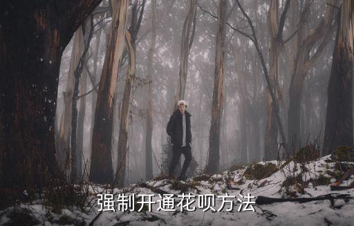 賣家怎么強(qiáng)制開通花唄，強(qiáng)制開通花唄方法