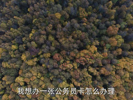 我想辦一張公務(wù)員卡怎么辦理