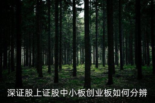 怎么分別創(chuàng)業(yè)板股票，如何辨別哪只股票屬于創(chuàng)業(yè)板