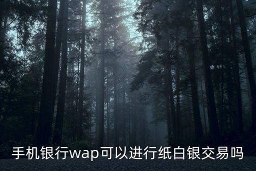 農(nóng)行掌銀怎么白銀做空，白銀TD手機銀行可以做嗎高手指點