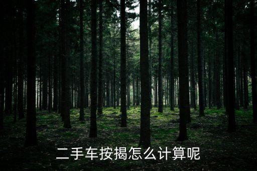 二手車按揭怎么計算呢