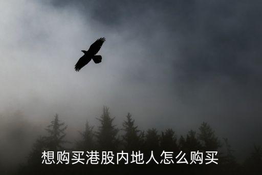 想購買港股內(nèi)地人怎么購買