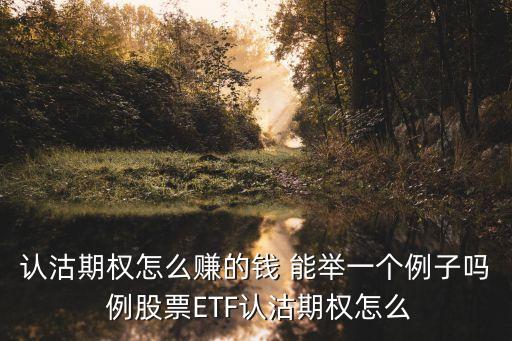 美股期權(quán)怎么賺錢，公司即將在納斯達克上市我手上有10w股期權(quán)每股是1美元公司