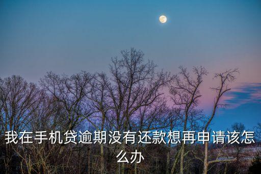 我在手機(jī)貸逾期沒有還款想再申請該怎么辦