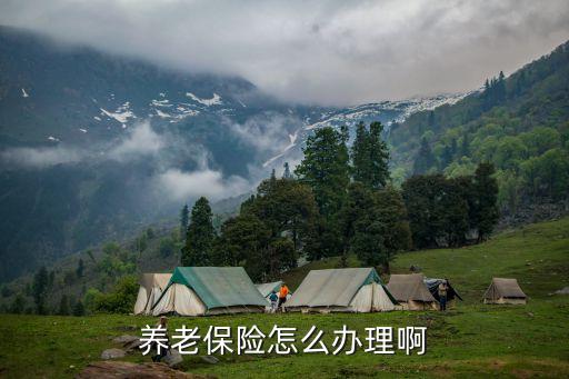 辦養(yǎng)老金怎么辦，養(yǎng)老保險(xiǎn)金該怎么樣辦理