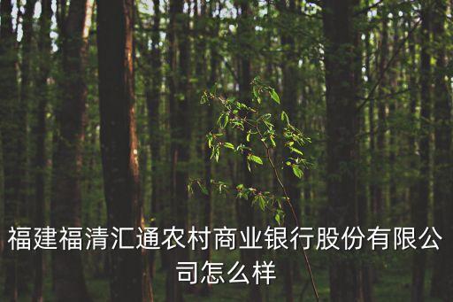 福建福清匯通農(nóng)村商業(yè)銀行股份有限公司怎么樣
