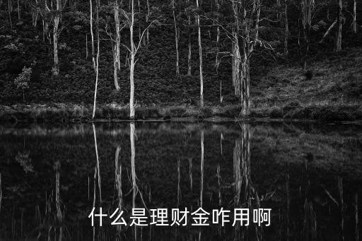 唐小僧理財(cái)金怎么用，唐小僧理財(cái)?shù)钠脚_(tái)獎(jiǎng)勵(lì)怎么贖出