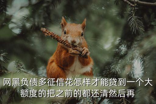 網(wǎng)黑負(fù)債多征信花怎樣才能貸到一個(gè)大額度的把之前的都還清然后再