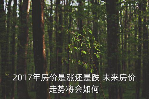 2017年房價是漲還是跌 未來房價走勢將會如何