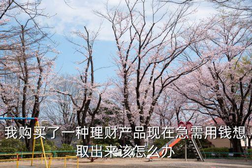 我購(gòu)買了一種理財(cái)產(chǎn)品現(xiàn)在急需用錢想取出來(lái)該怎么辦