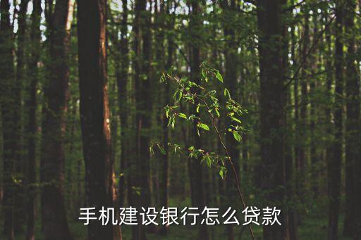 手機(jī)建設(shè)銀行怎么貸款