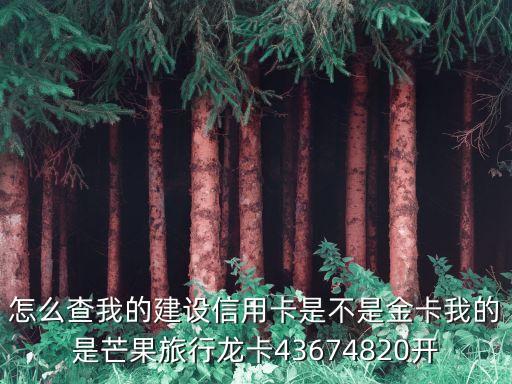 怎么分別龍卡金卡，怎么查我的建設(shè)信用卡是不是金卡我的是芒果旅行龍卡43674820開