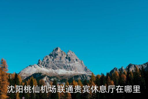 沈陽桃仙機(jī)場聯(lián)通貴賓休息廳在哪里
