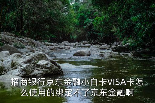 招商銀行京東金融小白卡VISA卡怎么使用的綁定不了京東金融啊