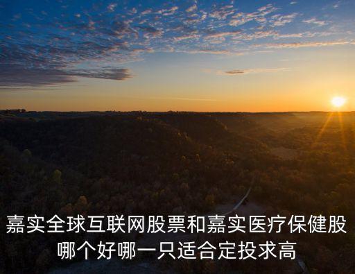 嘉實(shí)全球互聯(lián)網(wǎng)股票基金怎么樣，嘉實(shí)全球互聯(lián)網(wǎng)股票基金 怎么樣
