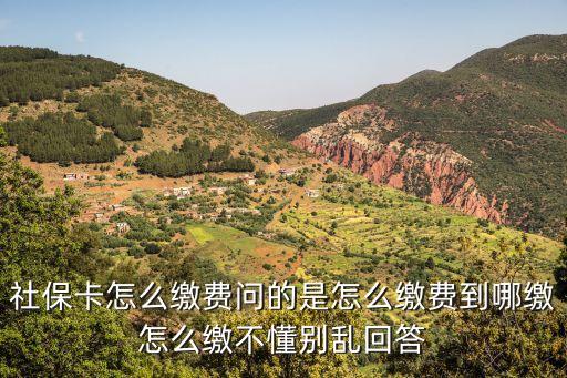 社?？ㄔ趺蠢U費問的是怎么繳費到哪繳怎么繳不懂別亂回答