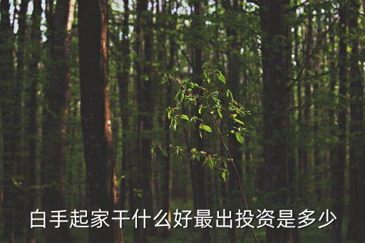 怎么干投資多少錢，作小生意多少本錢
