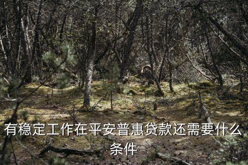 天津平安普惠信用貸款怎么辦理?xiàng)l件，咨詢下平安普惠的貸款申請條件是什么呢