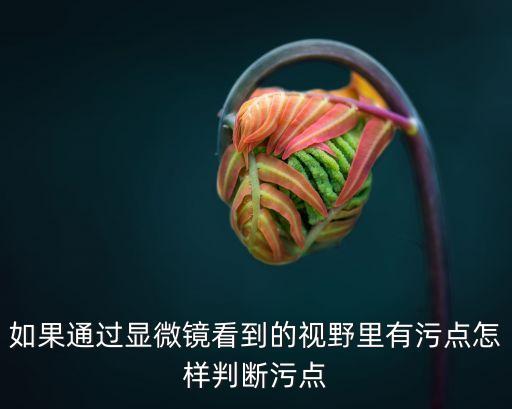 如果通過顯微鏡看到的視野里有污點怎樣判斷污點