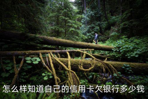 信用卡怎么查未還金額，信用卡的還欠多少網(wǎng)上怎么查得到呢