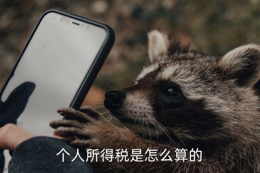 個(gè)人繳稅怎么算的，個(gè)人所得稅是怎么算的
