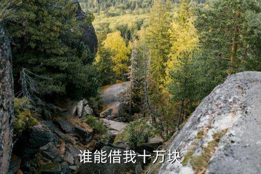 怎么知道有閃電貸額度，閃電借款里的授信額度是如何獲得的有知道的嗎