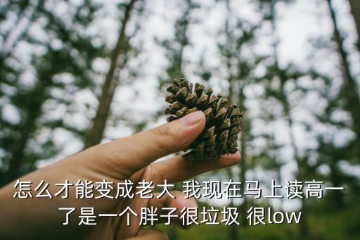 怎么能成為大佬，怎么才能變成老大 我現(xiàn)在馬上讀高一了是一個(gè)胖子很垃圾 很low