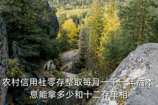 信合零存整取利息怎么算，農(nóng)村信用社零存整取每月一千一年后本息能拿多少和十二存單相