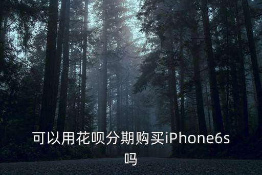 蘋果手機(jī)花唄怎么分期付款，蘋果手機(jī)現(xiàn)在可以分期付款怎么弄啊流程有什么要求