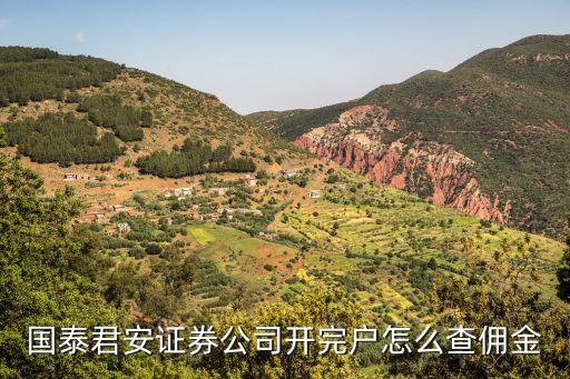 國(guó)泰君安怎么查手續(xù)費(fèi)，國(guó)泰君安大智慧軟件哪里能查詢傭金交易明細(xì)