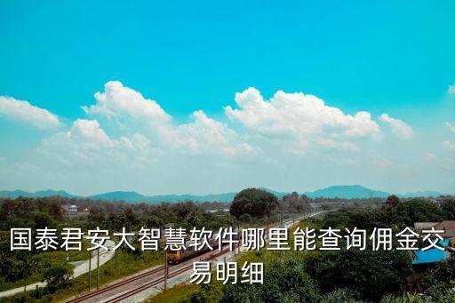 國泰君安大智慧軟件哪里能查詢傭金交易明細(xì)