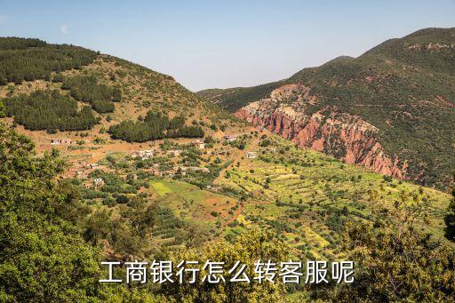打工商客服怎么轉(zhuǎn)人工服務(wù)電話，工商信用卡客服怎么轉(zhuǎn)人工