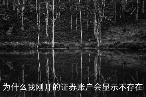 為什么我剛開的證券賬戶會顯示不存在