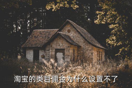 現(xiàn)在怎么改類目傭金，淘寶客類目傭金哪里設(shè)置