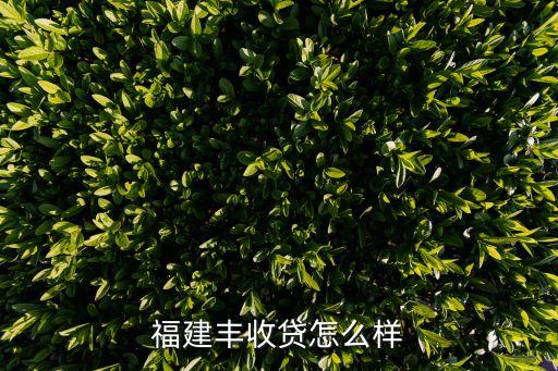 福建豐收貸怎么樣