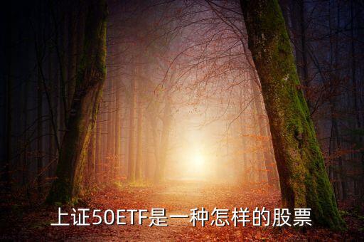 中海上證50指數(shù)怎么樣，中海上證50前景如何謝謝